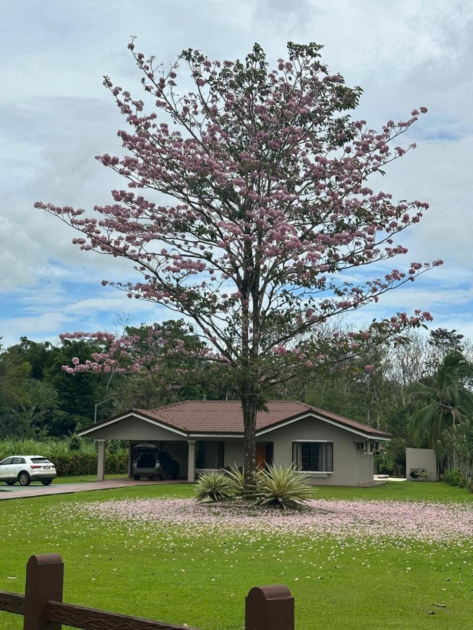 Casa Roble Fortuna La Fortuna Екстер'єр фото